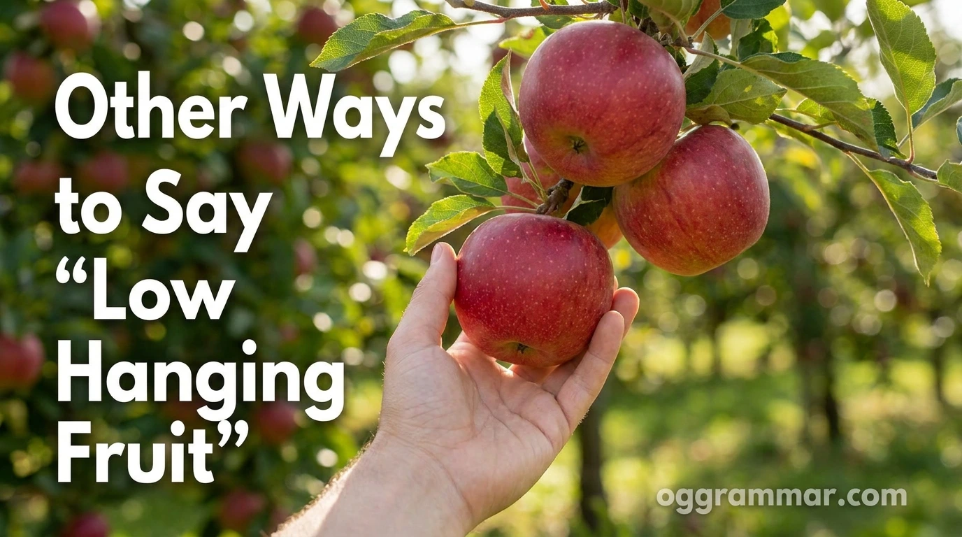 Other Ways to Say “Low Hanging Fruit”